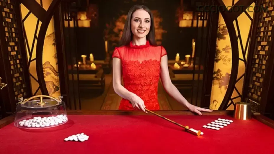 Casino Ao Vivo cccjogo